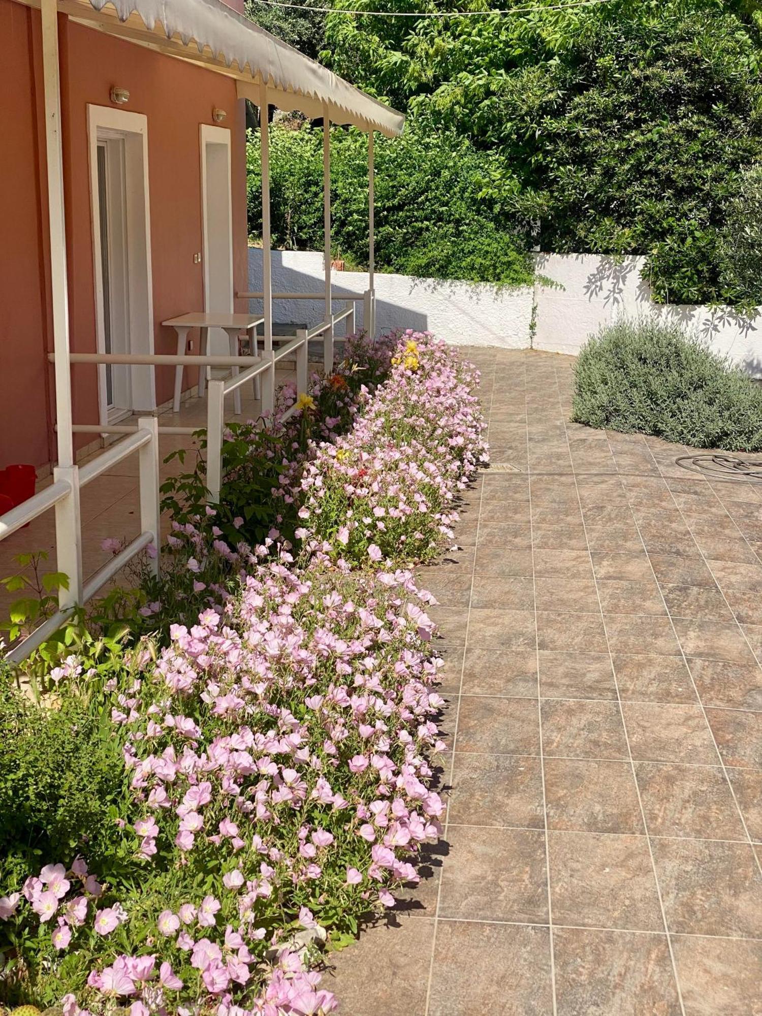 Paradiso Hotel Sea View And Pool Suites Ipsos Corfu Bagian luar foto
